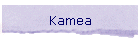 Kamea